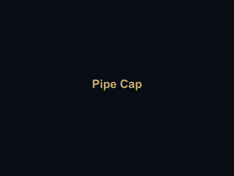 Pipe Caps & End Caps (管帽/封头)